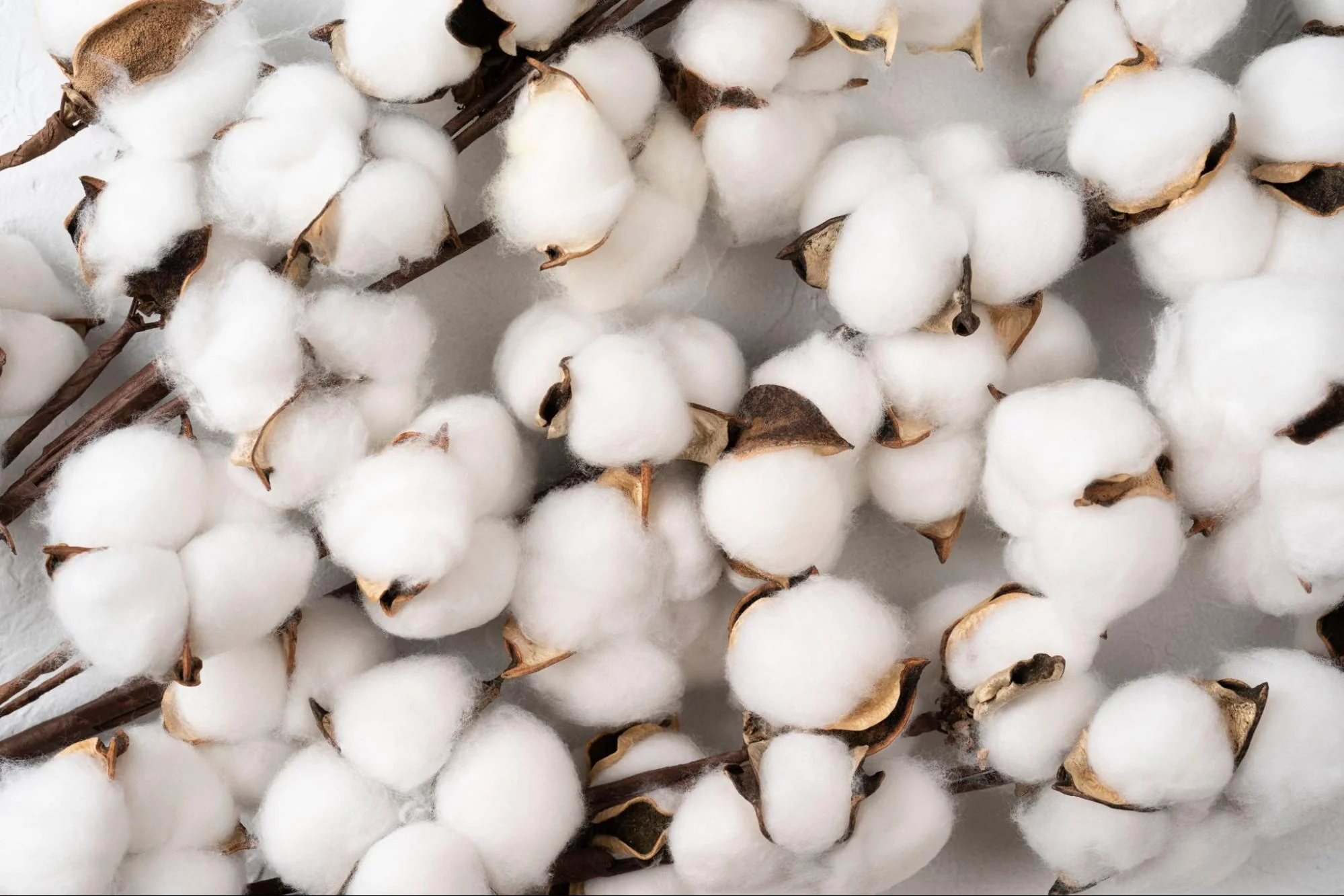 Materials used in Miracle sheets 1